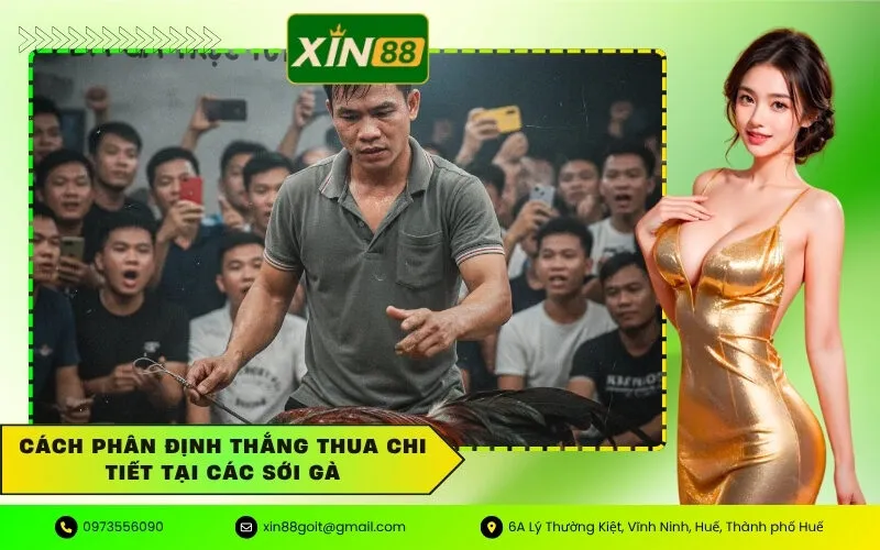 Cách phân định thắng thua chi tiết tại các sới gà