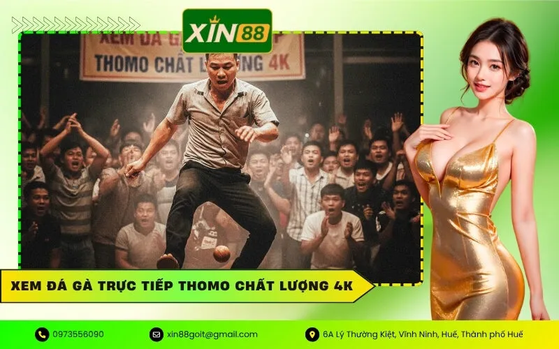 Đá Gà Trực Tiếp