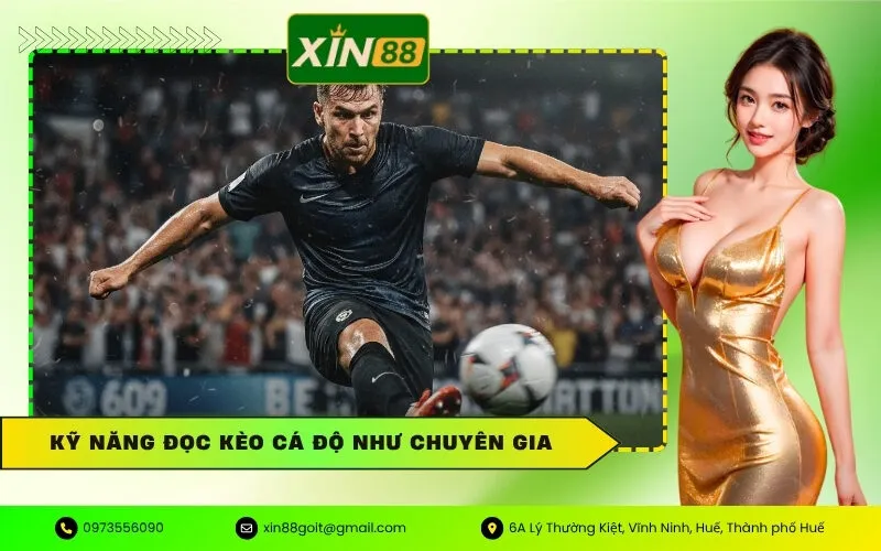 Đọc Kèo Cá Độ