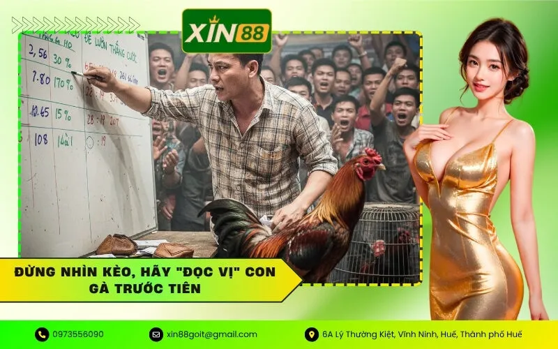 Đừng Nhìn Kèo, Hãy Đọc Vị Con Gà Trước Tiên