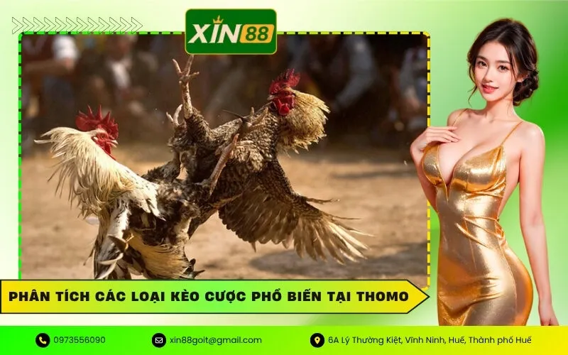 Phân tích các loại kèo cược phổ biến tại Thomo