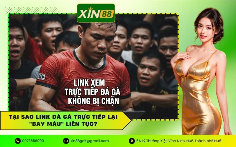 Tại sao link đá gà trực tiếp lại bay màu liên tục