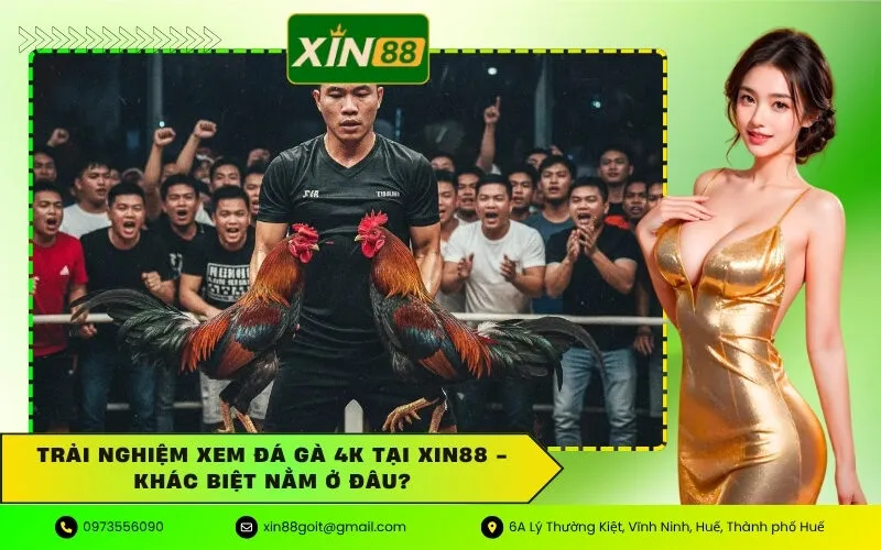 Trải nghiệm xem đá gà 4K tại xin88 - Khác biệt nằm ở đâu